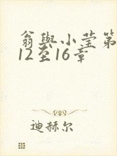 翁与小莹第十部12至16章
