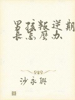 男孩叛逆期时家长怎么办