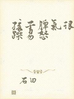 孩子脾气很大暴躁易怒