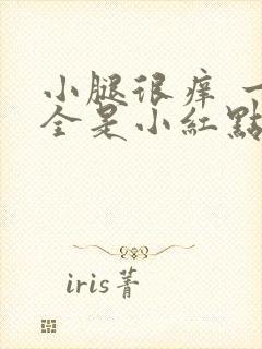 小腿很痒 一挠全是小红点点封面