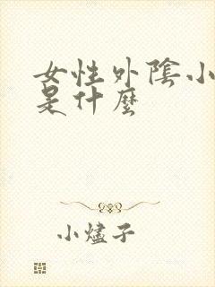 女性外阴小疙瘩是什么
