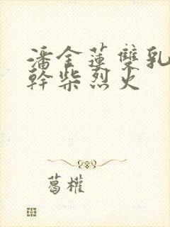 潘金莲双乳晃动干柴烈火封面