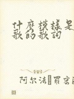 什么模样是哪首歌的歌词封面