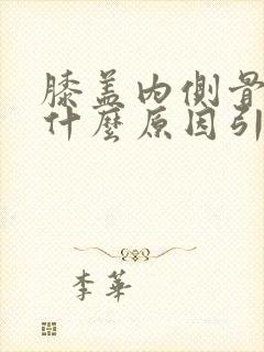 膝盖内侧骨头痛什么原因引起的