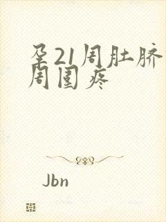孕21周肚脐眼周围疼封面