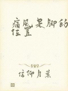 痛风是脚的哪个位置