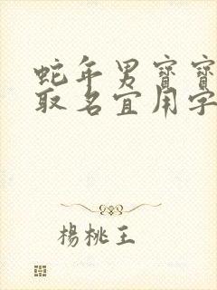 蛇年男宝宝名字取名宜用字