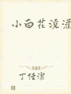 小白花浇灌日常封面