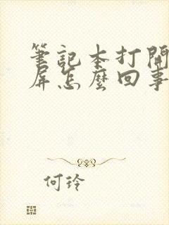 笔记本打开了黑屏怎么回事