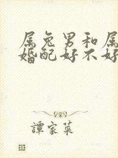 属兔男和属牛女婚配好不好封面