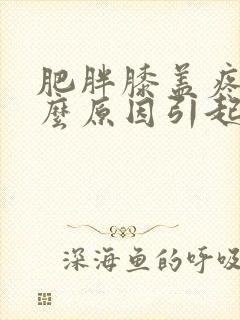 肥胖膝盖疼是什么原因引起的封面