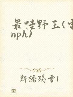 最佳野王(电竞nph)