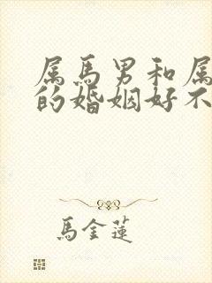 属马男和属蛇女的婚姻好不好