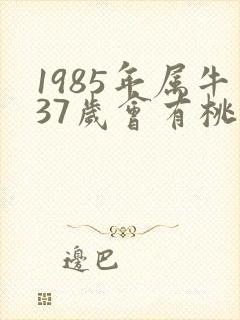 1985年属牛37岁会有桃花运