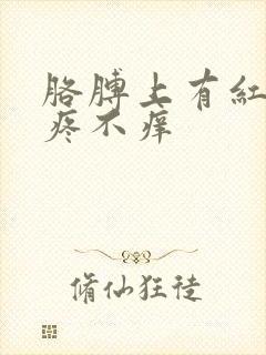 胳膊上有红斑不疼不痒