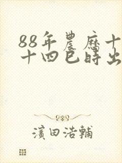 88年农历十月十四巳时出生的女命八字