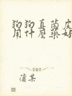 狗狗真菌皮肤病用什么药好