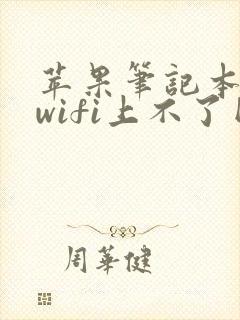 苹果笔记本连接wifi上不了网