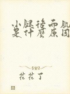 小腿后面肌肉疼是什么原因