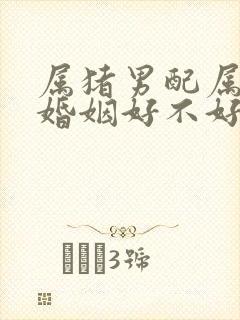 属猪男配属蛇女婚姻好不好