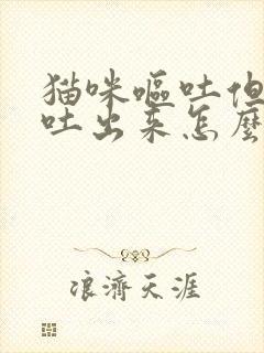 猫咪呕吐但是没吐出来怎么回事