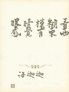 眼睛模糊看不清感觉有东西是怎么回事