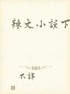 辣文小说下载封面