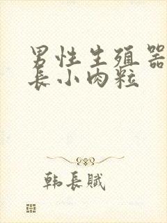 男性生殖器表皮长小肉粒