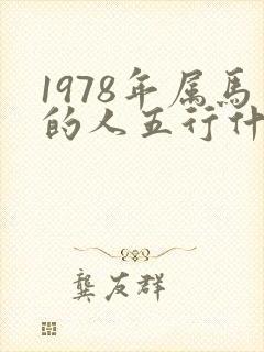 1978年属马的人五行什么命