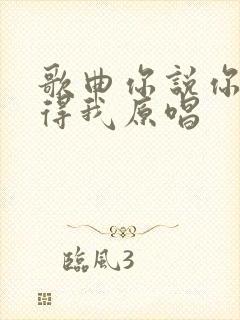 歌曲你说你会记得我原唱