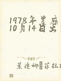 1978年农历10月14日出生什么命