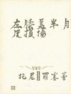 左膝盖半月板三度损伤