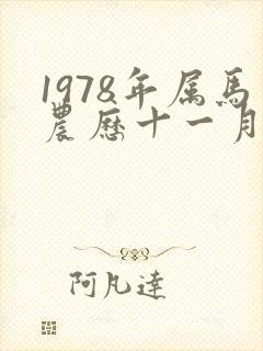 1978年属马农历十一月出生好吗