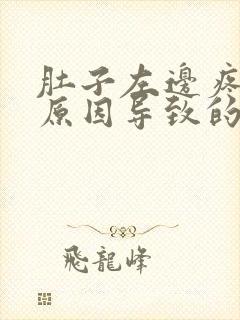肚子左边疼什么原因导致的封面