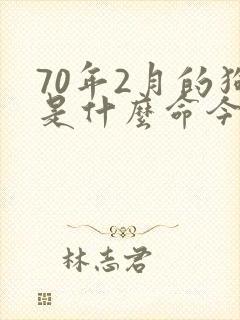 70年2月的狗是什么命今年财运如何