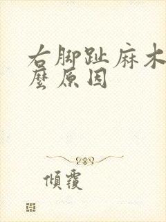 右脚趾麻木是什么原因封面