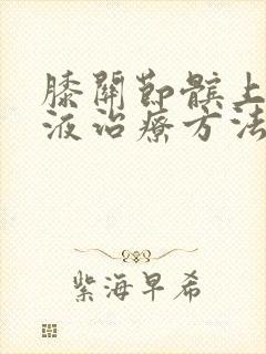 膝关节髌上囊积液治疗方法
