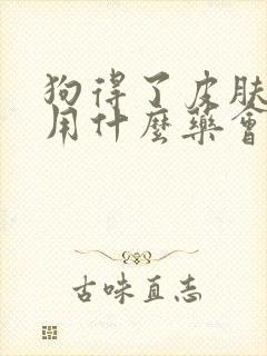狗得了皮肤病 用什么药会比较好