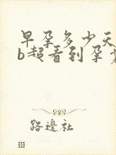 早孕多少天可以b超看到孕囊