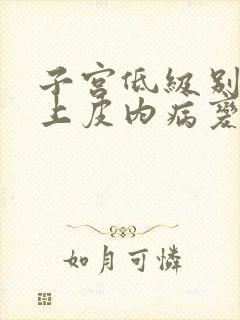 子宫低级别鳞状上皮内病变封面