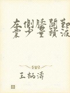 左侧膝关节髌上囊少量积液封面