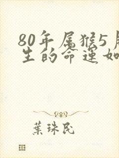 80年属猴5月生的命运如何