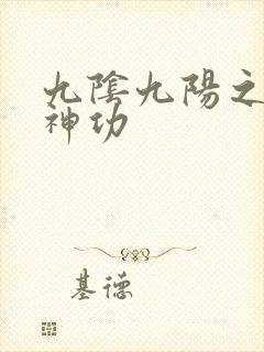 九阴九阳之阴阳神功封面
