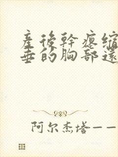 产后干瘪缩水下垂的胸部还有救吗封面
