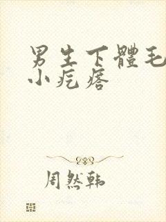 男生下体毛发长小疙瘩