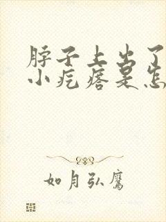 脖子上出了很多小疙瘩是怎么回事