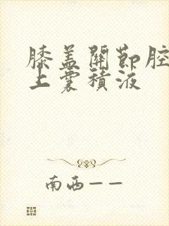 膝盖关节腔及髌上囊积液