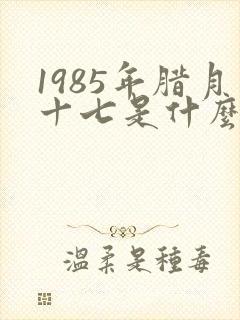 1985年腊月十七是什么命封面