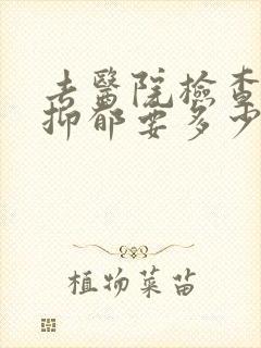去医院检查一次抑郁要多少钱封面