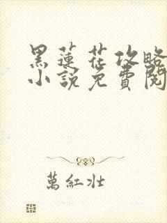 黑莲花攻略手册小说免费阅读全文